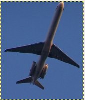 recorte3.jpg