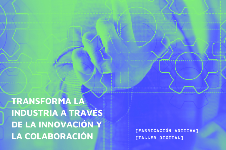 Proyecto Dual Asmatu