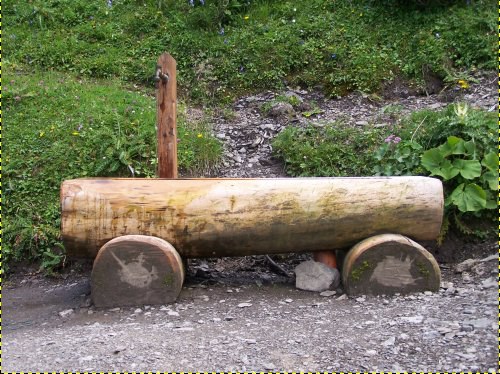 borragoma-01.jpg